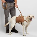 Fire Hose Dog Saddle Bags