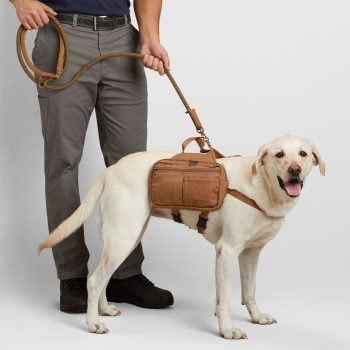 Fire Hose Dog Saddle Bags
