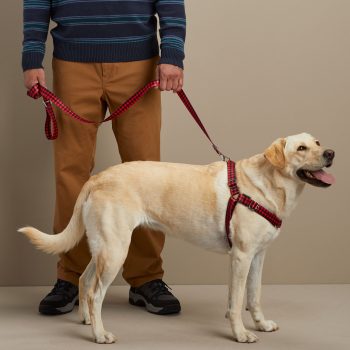 Ecoweave Front Lead Harness