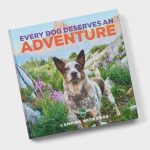 Every Dog Deserves an Adventure