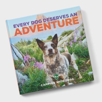 Every Dog Deserves an Adventure