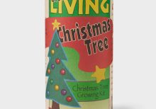 Christmas Tree Growing Kit